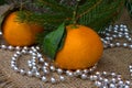 Two Mandarins Royalty Free Stock Photo