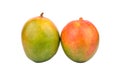 Two mango fruit Royalty Free Stock Photo