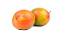 Two mango fruit Royalty Free Stock Photo