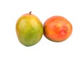 Two mango fruit Royalty Free Stock Photo