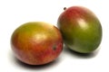 Two mango fruit isolated Royalty Free Stock Photo