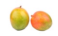 Two mango fruit Royalty Free Stock Photo