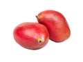Two mango fruit Royalty Free Stock Photo