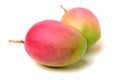 Fresh Two mango Royalty Free Stock Photo