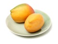 Two mango Royalty Free Stock Photo
