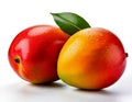 Two mango on white background Royalty Free Stock Photo