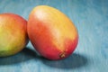 Two Mangoes on a Blue Background Royalty Free Stock Photo