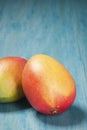 Two Mangoes on a Blue Background Royalty Free Stock Photo