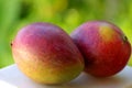 Two mangoes fruits