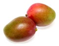 Two mangoes Royalty Free Stock Photo