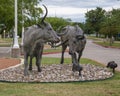 Two of many bronze steers, part of the longest bronze sculpture collection in the United States in The Center at Preston Ridge. Royalty Free Stock Photo