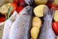 Two marinated rainbow trout with red pepper