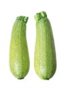 Two marrow zucchini Royalty Free Stock Photo