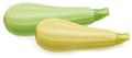Two marrow zucchini Royalty Free Stock Photo
