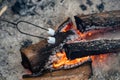 Two marshmallows roasting over a campfire, making smores