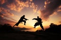 Two martial artists gracefully perform karate moves beneath a radiant sunset