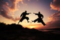 Two martial artists gracefully perform karate moves beneath a radiant sunset