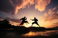 Two martial artists gracefully perform karate moves beneath a radiant sunset