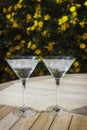 Two martini glasses in the sunshine Royalty Free Stock Photo