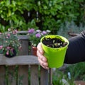 Two masculine hands are holding a pot with seedlings