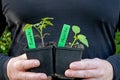 Two masculine hands are holding a pot with a tomato plant and a pot with a pepper plant Royalty Free Stock Photo