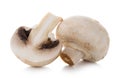 Two mashrooms whole and sliced champignons isolated on white background Royalty Free Stock Photo