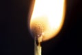 Two matchsticks burning side by side, black background. close-up. Royalty Free Stock Photo