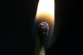 Two matchsticks burning side by side, black background. close-up. Royalty Free Stock Photo