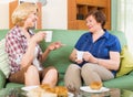 Two mature female drinking tea Royalty Free Stock Photo