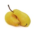 Two mature yellow autumn pears