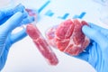 Two meat samples in scientist hands