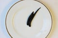 two medical leeches Hirudo medicinalis on a white plate. Royalty Free Stock Photo