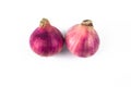 Two medium size fresh and ripe red onion isolated on a white background Royalty Free Stock Photo