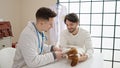 Two men bandaging leg of dog at veterinary clinic Royalty Free Stock Photo