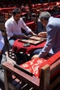 Two men enjoying a game of backgammon Royalty Free Stock Photo