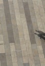 Shadows of two men on a paved place Royalty Free Stock Photo