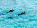 Two men in equipment for a snorkeling in sea Royalty Free Stock Photo