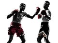 Two men exercising thai boxing silhouette Royalty Free Stock Photo