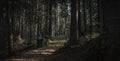 Two men hikers walking down the forest trail with dense trees under the shadows Royalty Free Stock Photo