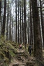 Two men hiking in mountain ancient forest