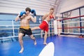 Two men kickboxing. Royalty Free Stock Photo