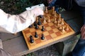 Two men play chess. Royalty Free Stock Photo