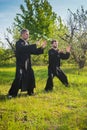 Two men practice tai Chi in a Park Royalty Free Stock Photo