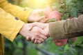 Two men shaking hands in orchard Royalty Free Stock Photo