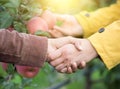 Two men shaking hands in orchard Royalty Free Stock Photo
