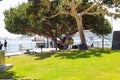 Two men sitting in chairs under a tree with lush green grass and people standing near the water in the harbor