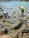 Two men with sticks working seaside