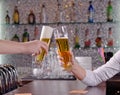 Two men toasting each other with their beers Royalty Free Stock Photo