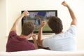 Two Men Watching Widescreen TV At Home Royalty Free Stock Photo