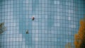 Two men workers cleaning the exterior windows of a skyscraper - industrial alpinism - hanging on ropes